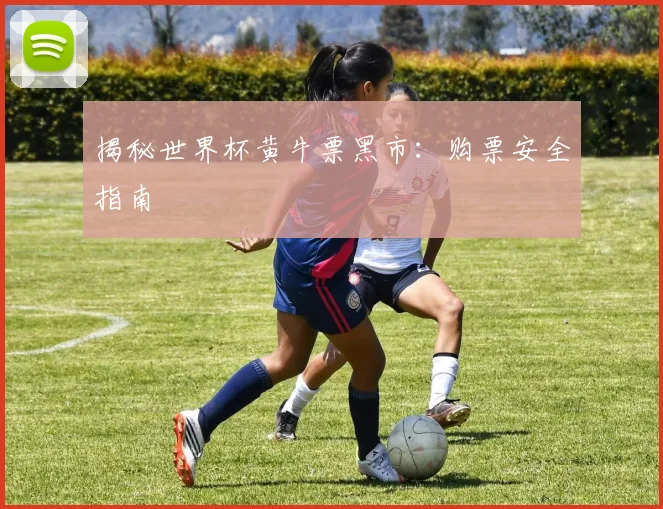 揭秘世界杯黄牛票黑市：购票安全指南